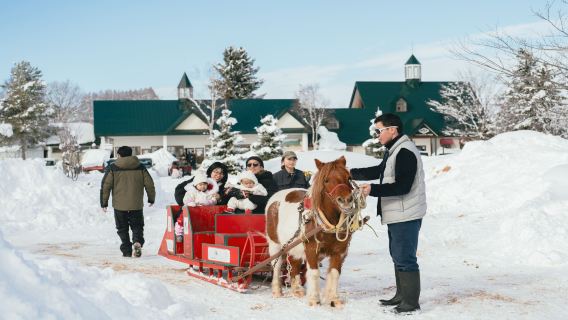 Asahiyama Zoo + Forest Terrace + Biei Farm Snow Park | Departing from Sapporo, Hokkaido