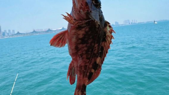 Tour di due isole a Phu Quoc Island – Pesca & Snorkeling (Isola di Dừa & Isola di Rỏi)