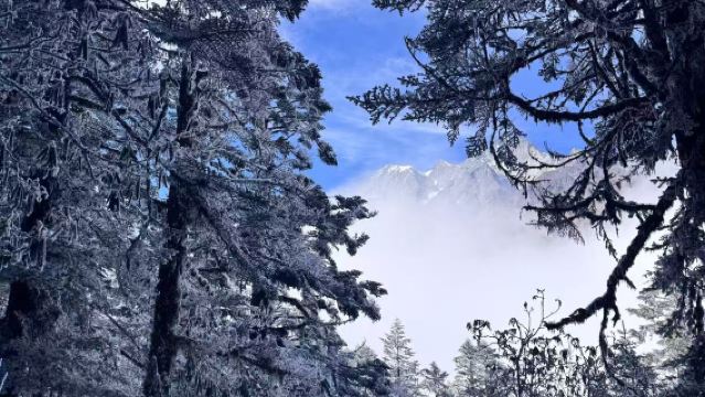 Private Tour: Hailuogou 1-Day Tour (Including Attraction Sightseeing Bus)