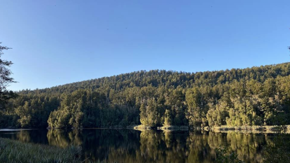 紐西蘭基督城-蒂卡波湖-普卡基湖可定制【中文專車-愜意舒適】