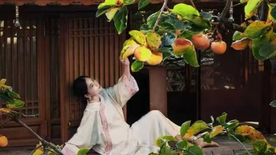 大理-巍山古城1對1專屬包車服務｜雙面南詔，一日盡覽兩座活態古城