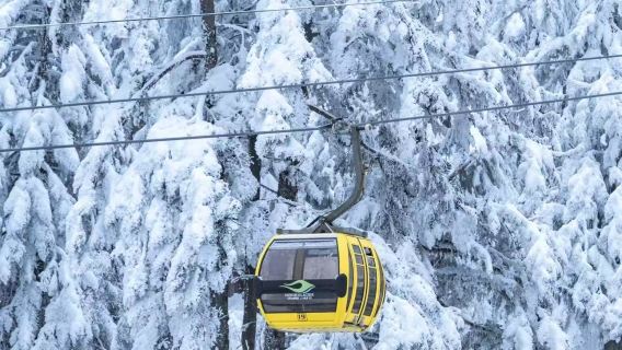 成都発【峨眉山登頂12H+貢嘎山海螺溝の奇観12H】貸切チャーター24H