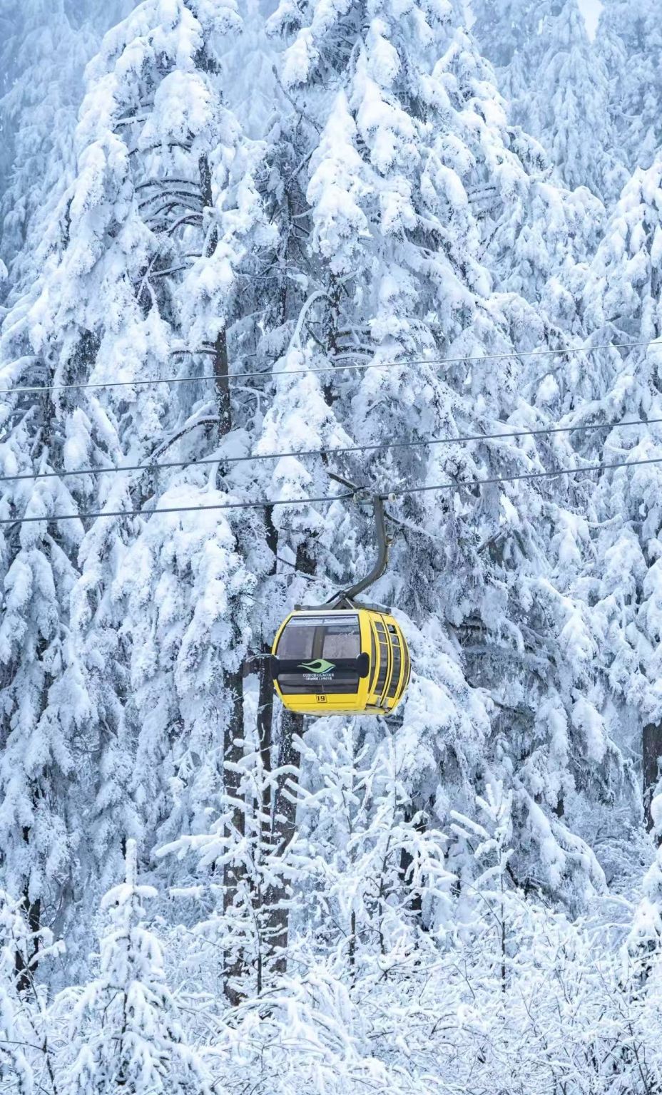 ออกเดินทางจากเฉิงตู [ปีนยอดภูเขาเอเมอิ 12 ชั่วโมง + ชมความอัศจรรย์ของธารน้ำแข็งไหหลูโกว 12 ชั่วโมง] เหมารถ 24 ชั่วโมง