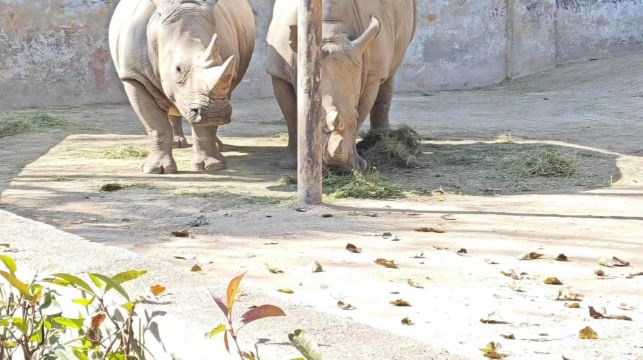 秦嶺野生動物園+秦嶺四寶科學公園一日遊【雙園萌寵，小車出行】