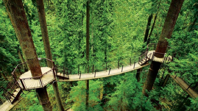 加拿大溫哥華+史丹利公園+卡皮拉諾吊橋公園市區一日遊