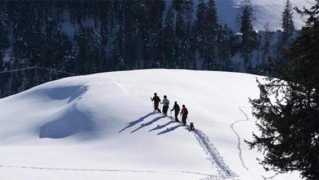 瑞士經典路線：蘇黎世出發--瑞吉山+琉森一日遊【中文包車】