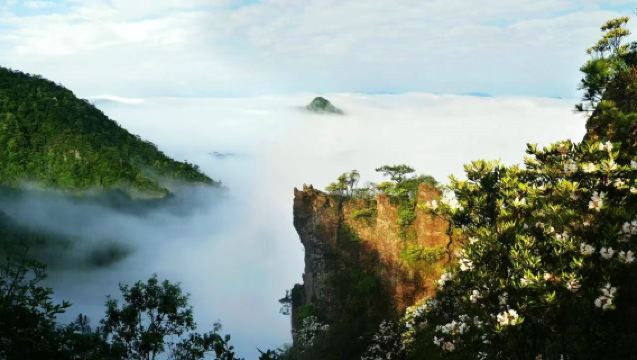松陽箬寮原始森林+石倉古民居一日遊