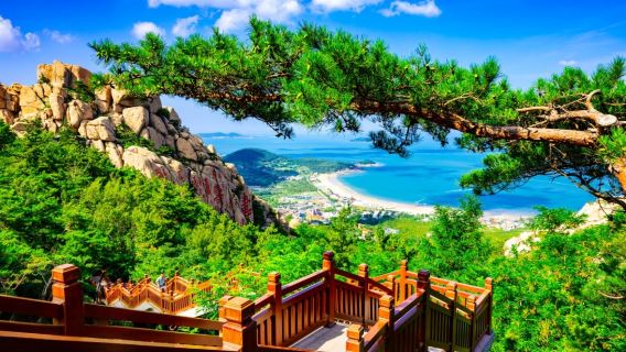 [Wangian Penuh Jika Tidak Puas] Kawasan Pemandangan Qingdao Laoshan/Yangkou Taiqing/Lawatan Sehari + Aktiviti Memungut Hasil Laut yang Menyeronokkan