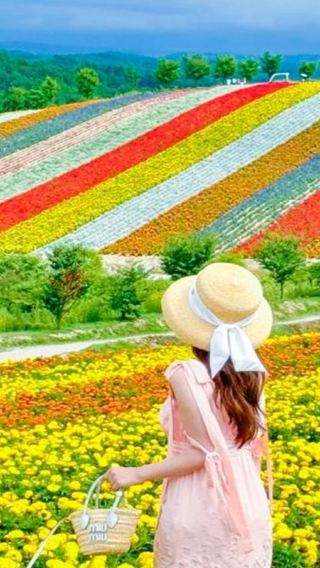 [Free admission ticket to Panoramic Flower Gardens Shikisai-no-oka · Optional transfer] Hokkaido Biei Furano 1-day tour Farm Tomita Shirogane Blue Pond (Aoiike)
