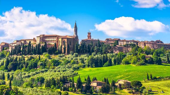Lawatan Sehari Kumpulan Kecil Berbahasa Cina dari Florence ke Rom: Tuscany, Lembah Val d'Orcia, Pienza & Siena