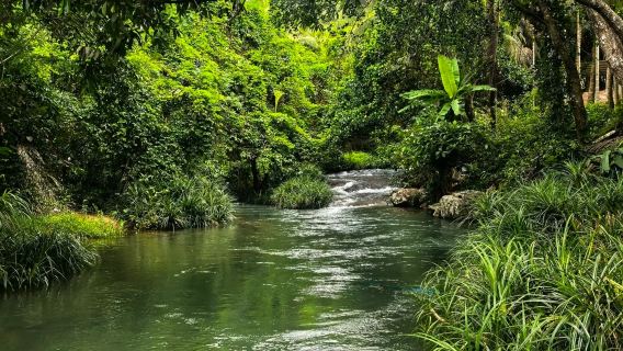 Wanning [Jejak Sungai Hutan Hujan] Melangkah Air Terjun & Membuka Kunci Pengembaraan Kanak-kanak + Percuma Rakaman