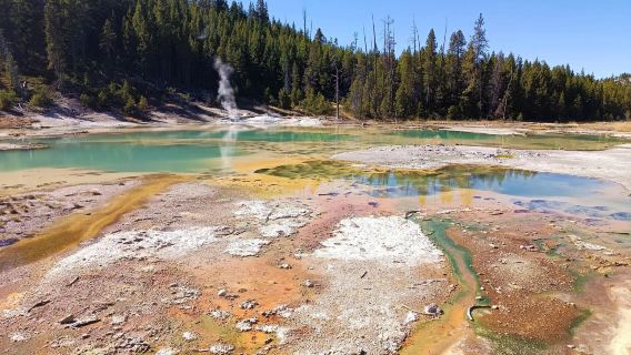 [Sewaan Peribadi Taman Negara Yellowstone Salt Lake City Amerika Syarikat] Taman Antler + Tempat Perlindungan Elk (Tidak Termasuk Tiket Masuk)