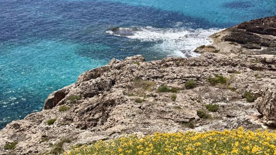 4-stündige Segelerlebnis auf Mallorca [wahlweise morgens oder bei Sonnenuntergang, mit Snacks und unbegrenzt Getränken]