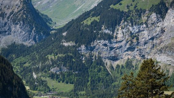 Zurich pergi-balik sewaan peribadi|Appenzell + Kilang Keju lawatan makanan klasik sehari (Tidak termasuk tiket)