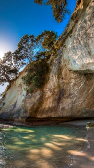 Auckland round-trip - Coromandel Peninsula 1-day tour: Cathedral Cove [English]