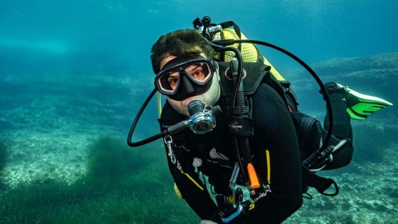 Mallorca Cala d'Or: Try Scuba Diving – No Experience Needed