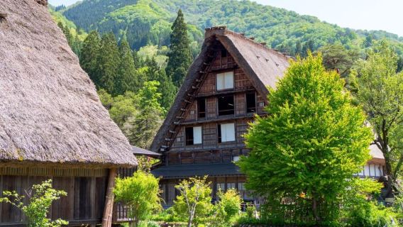 From Takayama: World Heritage Gokayama & Shirakawa-go