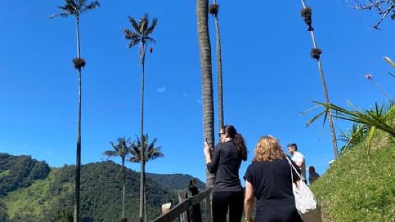 Cocora Valley: 10 km Nature & Forest Hike