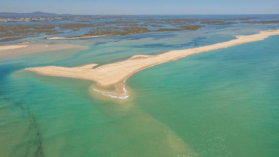 From Faro: 2-Hour Guided Bird Watching Boat Trip