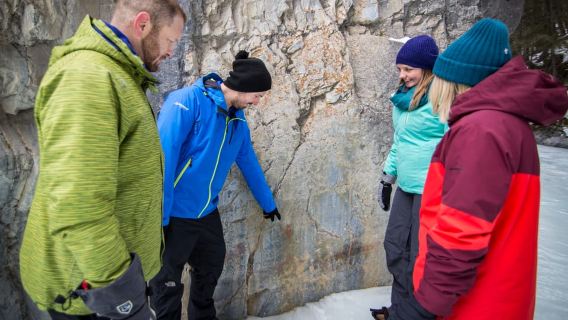 Banff: Grotto Canyon Icewalk