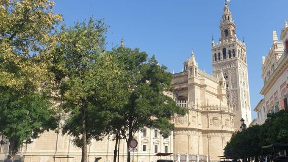 Sevilha: Ingresso e Passeio Guiado pelo Alcázar e Catedral