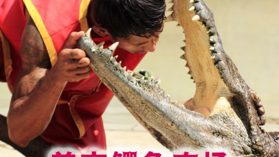Phuket Crocodile World Half Day Tour in Thailand