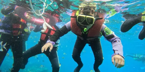 台東體驗潛水浮潛2小時【綠島精緻浮潛之旅|含專業教練、裝備、保險、水下照片】