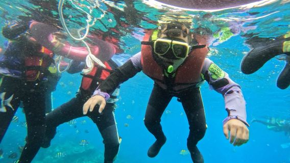 台東で2時間体験ダイビング&シュノーケリング【緑島極上シュノーケリングツアー|プロのインストラクター、器材、保険、水中写真付き】