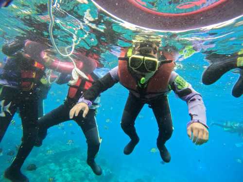 台東體驗潛水浮潛2小時【綠島精緻浮潛之旅|含專業教練、裝備、保險、水下照片】