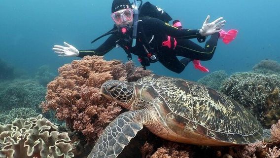 Sharm El SheikhTours