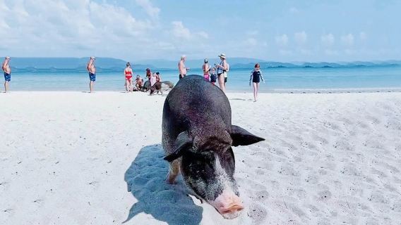 Koh SamuiTours
