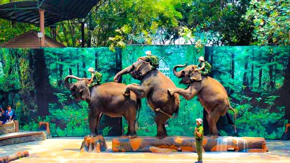 Taman Safari Prigen Adventure – A Wild Journey in East Java from Surabaya