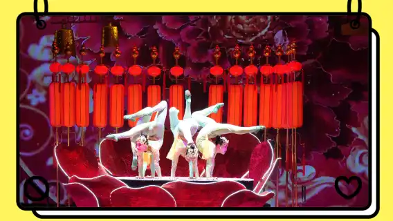 Final Chance to Witness Breathtaking Acrobatics-"Red Theater's Gravity-Defying Spectacle!"