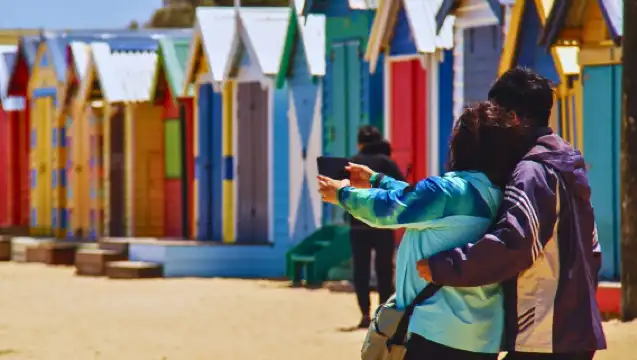 Phillip Island Penguin Parade Small Group Eco Tour from Melbourne