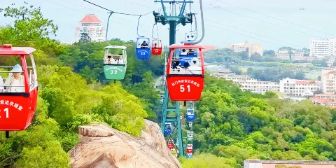 【廈門鐘鼓索道】含門票預約,正規渠道入園,俯瞰園林植物園美景;可選套餐:南普陀寺講解&筼筜雅遊&植物園