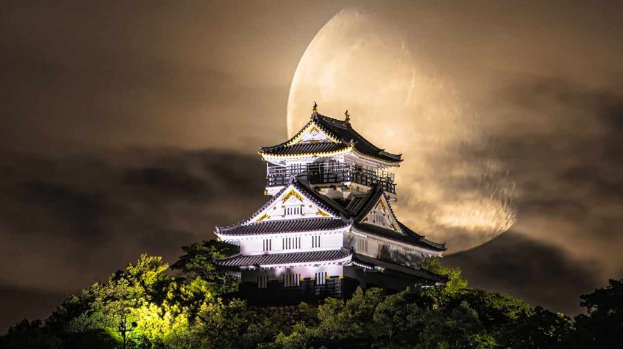 長良川花火大會·晚間私屬頂樓平台觀賞花火白天自由欣賞岐阜美景