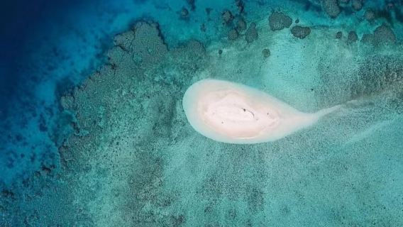 Suva en Fiyi + Museo de Fiyi + Casa Presidencial + Mercado de Suva + Bosque de la Universidad del Pacífico Sur