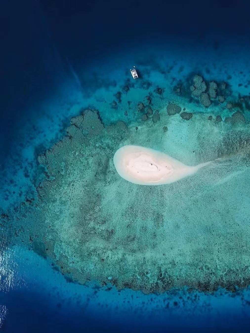 Suva, Fiji + Fiji Museum + Presidential Palace + Suva Market + The University of the South Pacific Forest Park