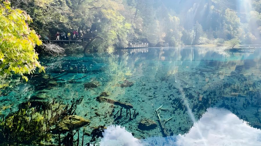 成都/九寨黃龍站出發九寨溝 中文拼團一日遊 舒適小團遊