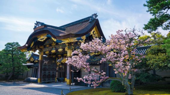 Kyoto one-day tour| Nijo Castle + Kinkakuji Temple + Fushimi Inari + Arashiyama Togetsukyo Bridge + Kimono Forest