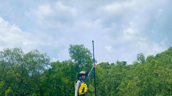 Опыт SUP в мангровых лесах Лангкави (маршрут по мангровым деревьям Танджонг Ру)