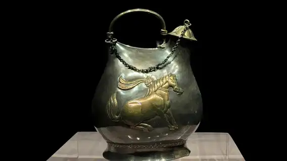 Xi'an In-depth Historical Tour: Shaanxi History Museum Ticket (Optional  Chinese/English Guide)