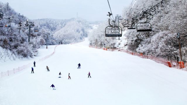 From Seoul: 1-day tour to Elysian Gangchon Ski Resort & Eobi Valley