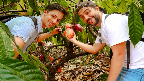 Tour del mercato galleggiante di Cai Rang|Incredibile Cần Thơ