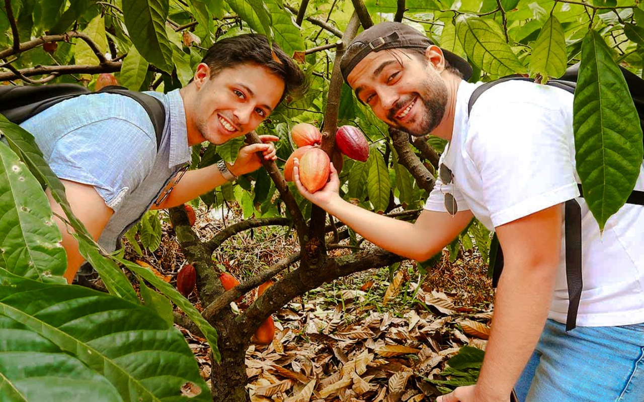Cai Rang floating market tour | Amazing Can Tho