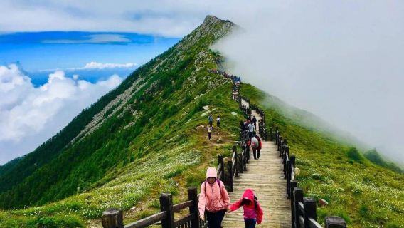 太白山森林公園接駁車一日遊