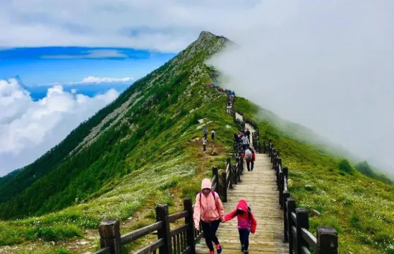 太白山森林公園接駁車一日遊