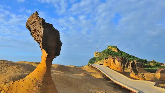 台北景點通票 北北基好玩卡 無限暢遊版（台北車站 / 松山機場領取）Taipei Fun Pass
