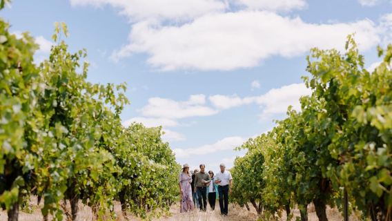 Excursión de un día a Margaret River, chocolate, vino y la costa desde Perth