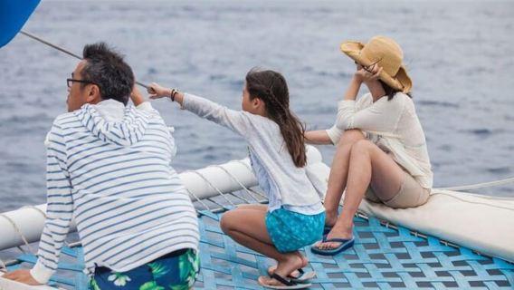 Los Cabos: Crucero de avistamiento de ballenas en catamarán